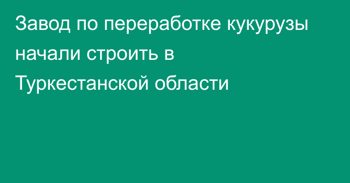 Завод по переработке кукурузы начали строить в Туркестанской области