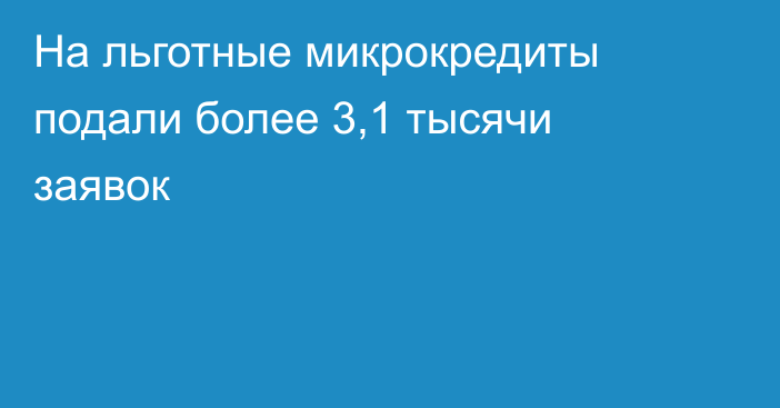 На льготные микрокредиты подали более 3,1 тысячи заявок