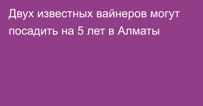 Двух известных вайнеров могут посадить на 5 лет в Алматы