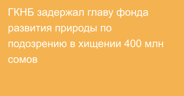 ГКНБ задержал главу фонда развития природы по подозрению в хищении 400 млн сомов