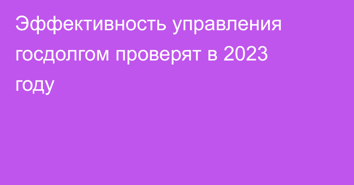 Эффективность управления госдолгом проверят в 2023 году