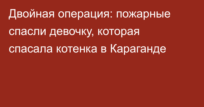 Двойная операция: пожарные спасли девочку, которая спасала котенка в Караганде