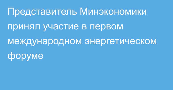 Представитель Минэкономики принял участие в первом международном энергетическом форуме