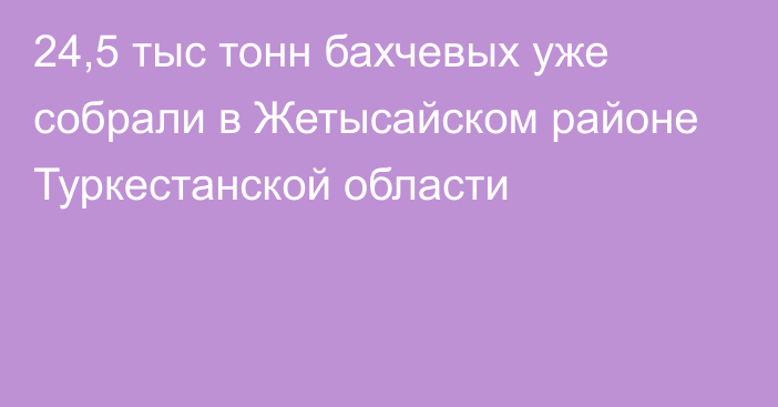 24,5 тыс тонн бахчевых уже собрали в Жетысайском районе Туркестанской области