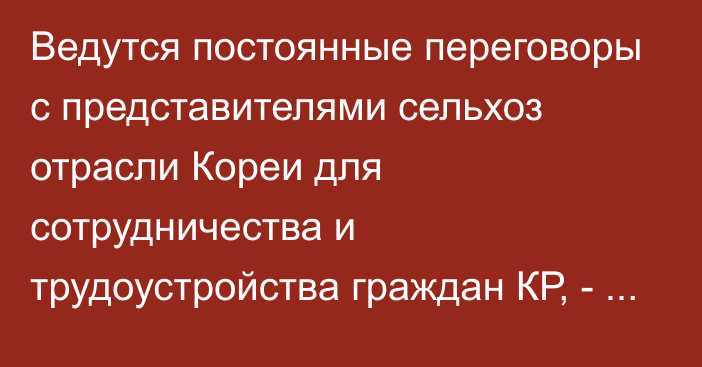 Ведутся постоянные переговоры с представителями сельхоз отрасли Кореи для сотрудничества и трудоустройства граждан КР, - посол Кыргызстана в Республике Корея 