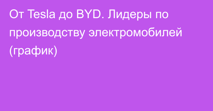 От Tesla до BYD. Лидеры по производству электромобилей (график)