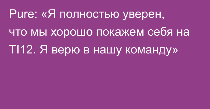 Pure: «Я полностью уверен, что мы хорошо покажем себя на TI12. Я верю в нашу команду»