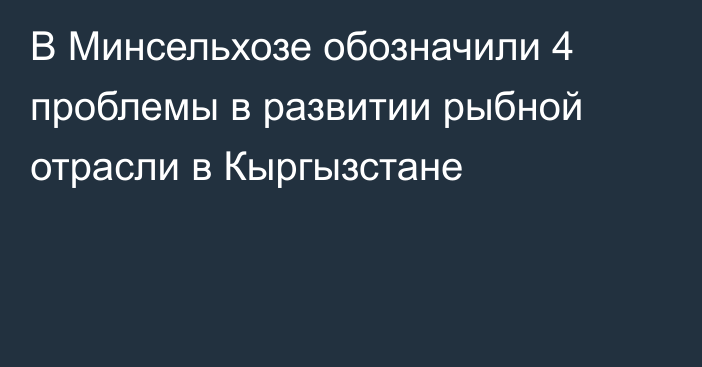 В Минсельхозе обозначили 4 проблемы в развитии рыбной отрасли в Кыргызстане