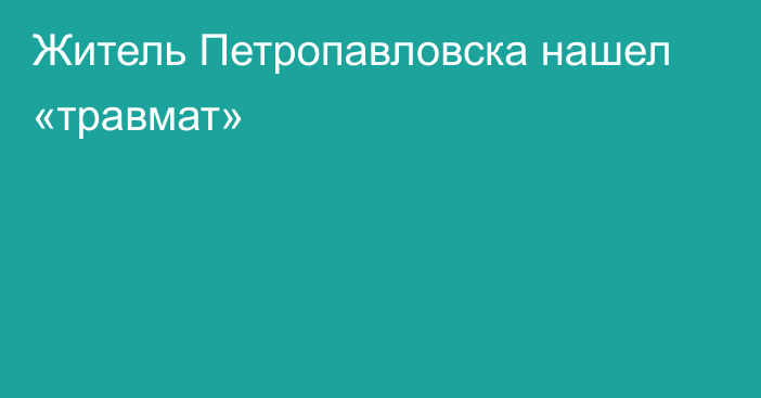 Житель Петропавловска нашел «травмат»