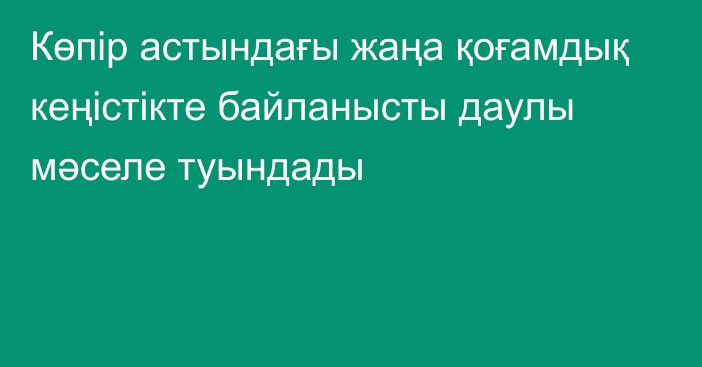 Көпір астындағы жаңа қоғамдық кеңістікте байланысты даулы мәселе туындады