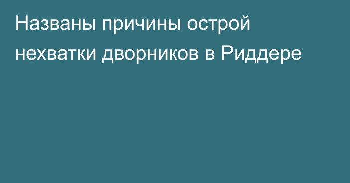 Названы причины острой нехватки дворников в Риддере