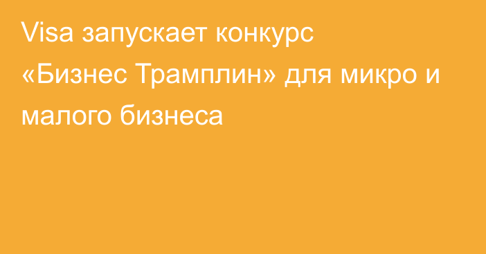 Visa запускает конкурс «Бизнес Трамплин» для микро и малого бизнеса