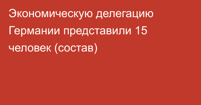 Экономическую делегацию Германии представили 15 человек (состав)