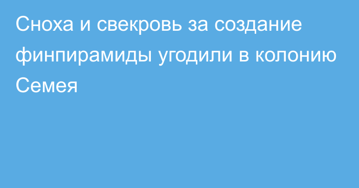 Сноха и свекровь за создание финпирамиды угодили в колонию Семея