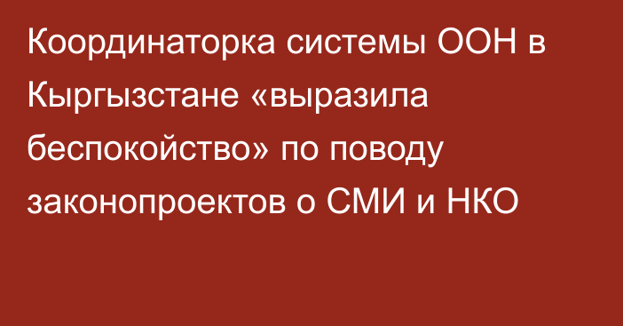 Координаторка системы ООН в Кыргызстане «выразила беспокойство» по поводу законопроектов о СМИ и НКО