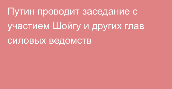 Путин проводит заседание с участием Шойгу и других глав силовых ведомств