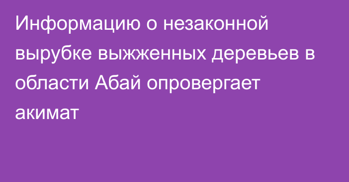 Информацию о незаконной вырубке выжженных деревьев в области Абай опровергает акимат