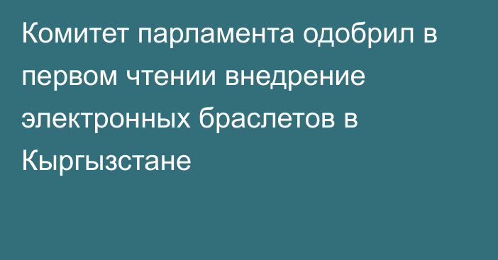 Комитет парламента одобрил в первом чтении внедрение электронных браслетов в Кыргызстане