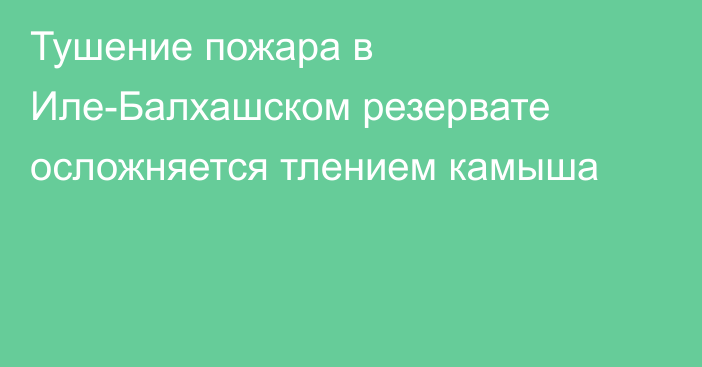 Тушение пожара в Иле-Балхашском резервате осложняется тлением камыша