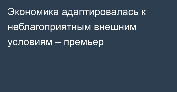 Экономика адаптировалась к неблагоприятным внешним условиям – премьер