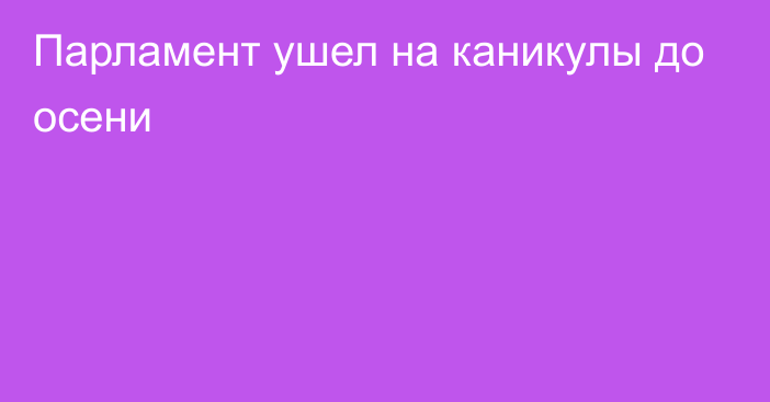 Парламент ушел на каникулы до осени