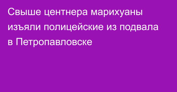 Свыше центнера марихуаны изъяли полицейские из подвала в Петропавловске