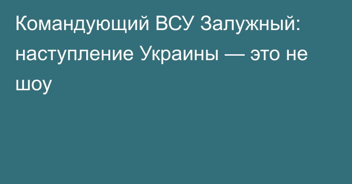 Командующий ВСУ Залужный: наступление Украины — это не шоу