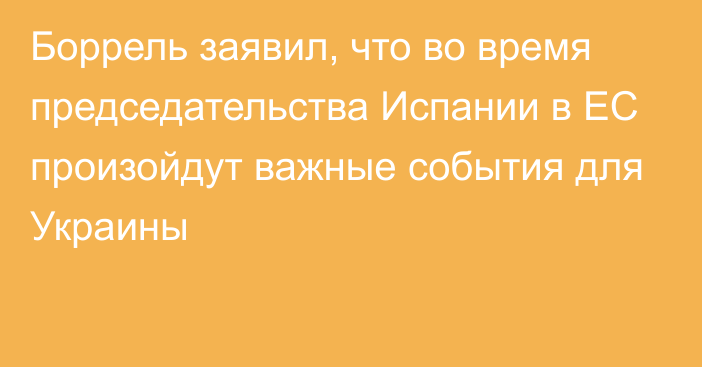 Боррель заявил, что во время председательства Испании в ЕС произойдут важные события для Украины