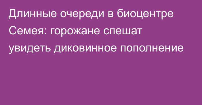 Длинные очереди в биоцентре Семея: горожане спешат увидеть диковинное пополнение