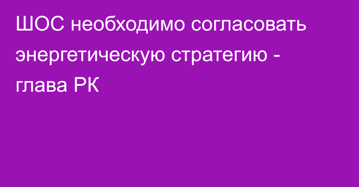 ШОС необходимо согласовать энергетическую стратегию - глава РК