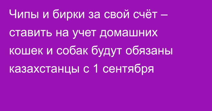 Чипы и бирки за свой счёт – ставить на учет домашних кошек и собак будут обязаны казахстанцы с 1 сентября