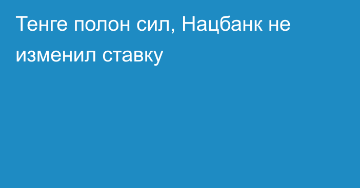 Тенге полон сил, Нацбанк не изменил ставку