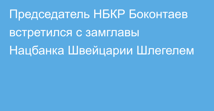 Председатель НБКР Боконтаев встретился с замглавы Нацбанка Швейцарии Шлегелем