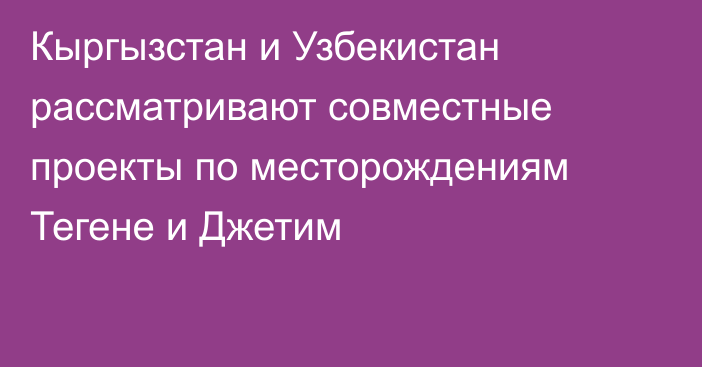 Кыргызстан и Узбекистан рассматривают совместные проекты по месторождениям Тегене и  Джетим