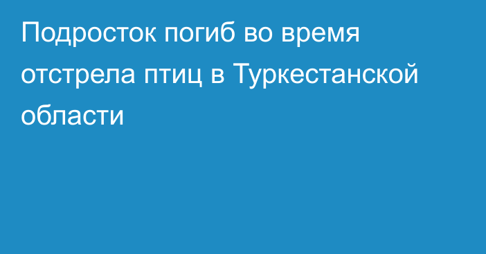 Подросток погиб во время отстрела птиц в Туркестанской области