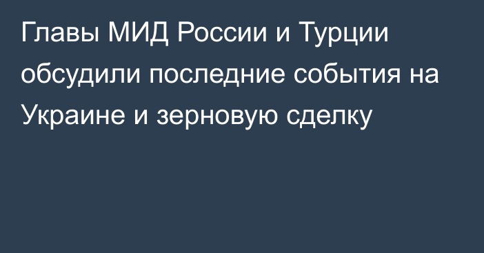 Главы МИД России и Турции обсудили последние события на Украине и зерновую сделку