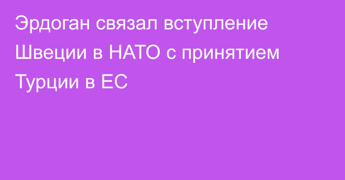 Эрдоган связал вступление Швеции в НАТО с принятием Турции в ЕС