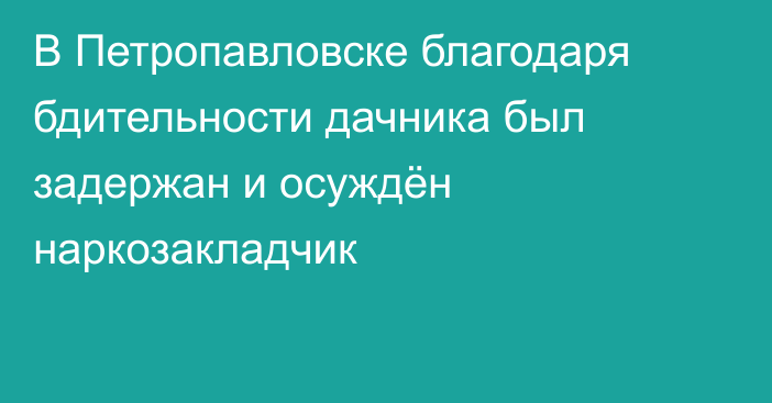 В Петропавловске благодаря бдительности дачника был задержан и осуждён наркозакладчик