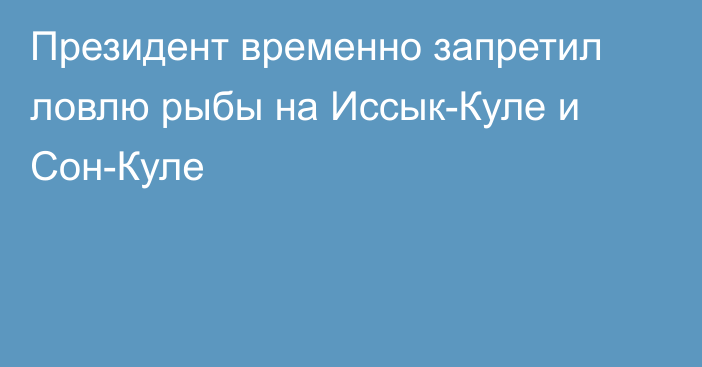 Президент временно запретил ловлю рыбы на Иссык-Куле и Сон-Куле