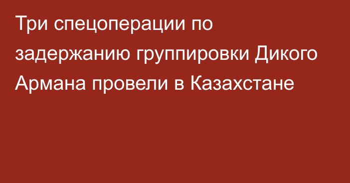 Три спецоперации по задержанию группировки Дикого Армана провели в Казахстане