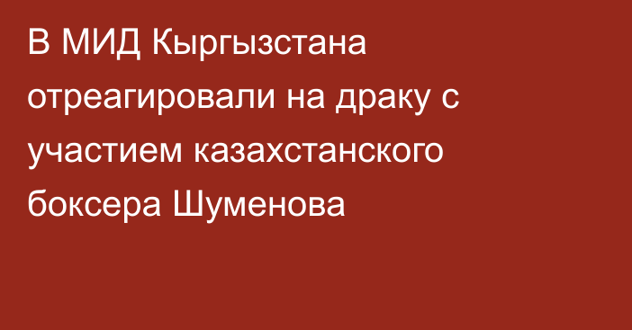 В МИД Кыргызстана отреагировали на драку с участием казахстанского боксера Шуменова