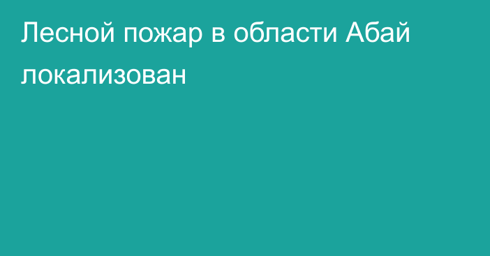 Лесной пожар в области Абай локализован