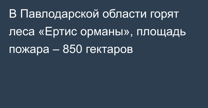 В Павлодарской области горят леса «Ертис орманы», площадь пожара – 850 гектаров