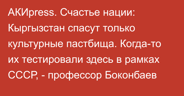 АКИpress. Счастье нации: Кыргызстан спасут только культурные пастбища. Когда-то их тестировали здесь в рамках СССР, - профессор Боконбаев