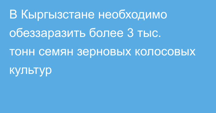 В Кыргызстане необходимо обеззаразить более 3 тыс. тонн семян зерновых колосовых культур