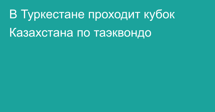 В Туркестане проходит кубок Казахстана по таэквондо