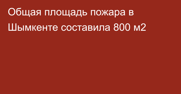 Общая площадь пожара в Шымкенте составила 800 м2