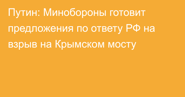 Путин: Минобороны готовит предложения по ответу РФ на взрыв на Крымском мосту