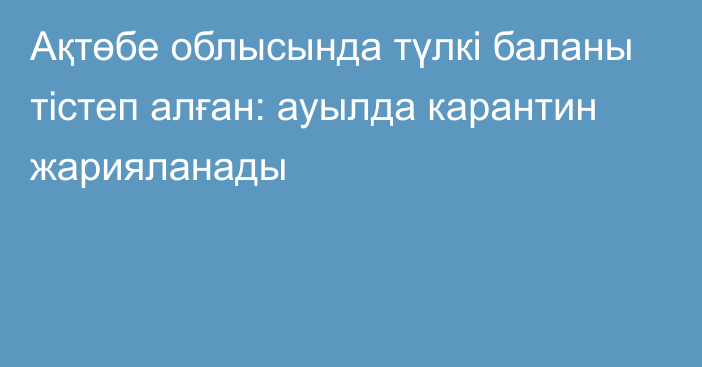 Ақтөбе облысында түлкі баланы тістеп алған: ауылда карантин жарияланады