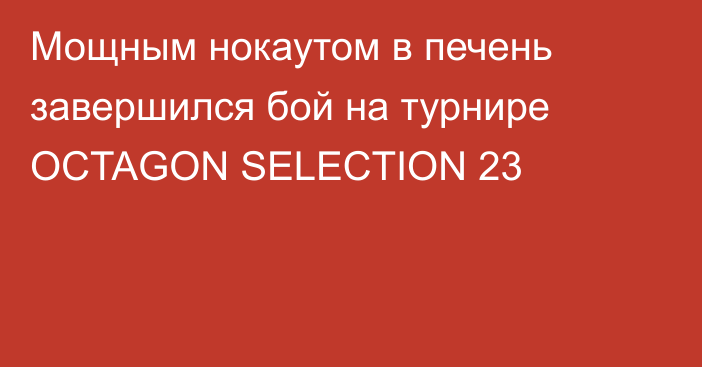 Мощным нокаутом в печень завершился бой на турнире OCTAGON SELECTION 23